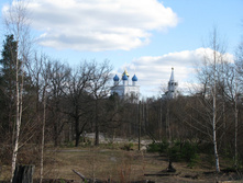 IMG 7596.jpg