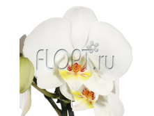 ���������� ���� 2���. 12�60. 945 ���.jpg