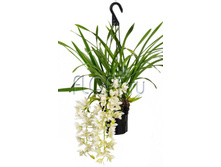 ��������� ��� ������ 2���. 14�65. 1407 ���.jpg