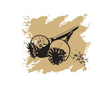 118 ���.������� ����� �����