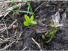 ��������. �����!!!