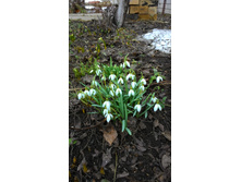 ����������, 10 �. ���������