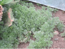 ���� 2014 111.jpg