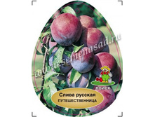 ����� ������� (�����) ��������������� (� �������).jpg