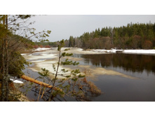 IMG 20160410 105303.jpg