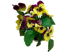 ���.����. ������� ������ � ������ �21019. 24 ��. 979,19 ���.jpg