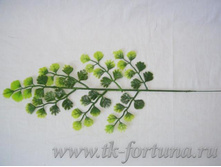 18-038 ���� "�����", �������, 34 ��. 8.50