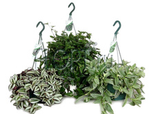 ������������ ���� 18�40. 817,74 ���.jpg