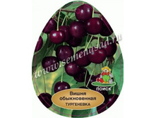 ����� ����������.jpg