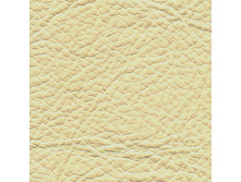 ���� 3037.jpg