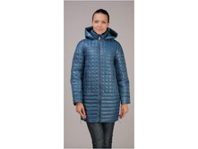 2100 �, ������ 1547 Daffodil