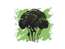 273 ���. �������� �����.