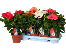 �������� ���� 13�35. 378 ���.jpg