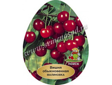 ����� ���������.jpg