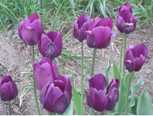 ���� 2014 106.jpg