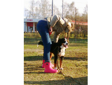 IMG 20160424 171631.jpg