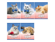 ������� 24�. ������ ���������� ����� 10,53.jpg