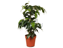 ����� ������� 12�40. 183,75 ���.jpg