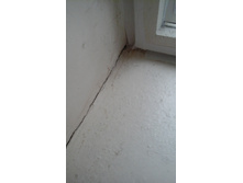 20160403 111017.jpg
