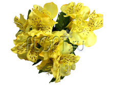 ���.����. ������������ � ������������ ����� , ������. �17320 �. 23 ��. 700,67 ���.jpg