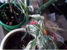 �������.