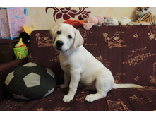 3 ������