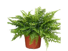 ���������� ���� ������ 12�25. 238,35 ���.jpg