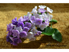 ������� ������ (�������� ������)