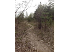 IMG 20160427 162754.jpg