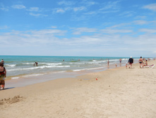 ���� ����, ���� 2015�