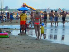 ���� ����, ���� 2015�