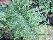 IMG 2841.JPG