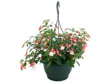 ������ ����� �������� 23�35. 649,95 ���.jpg