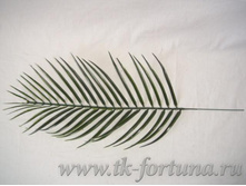 18-006 ���� "������" �������, 43 ��. 19.70