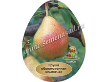 ����� ��������� (V5-10�) (������,������-������ � ����-������� ��������).jpg