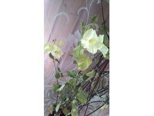 P 20160423 112859.jpg