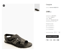 Anemone 46002E-15-5.png