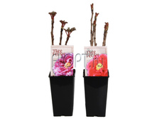 ���� ���� 15�40. 397,72 ���.jpg