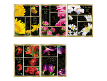 ������� 48�. �5 ������ ����� �� ������ 18,45.jpg