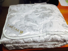 ������ ��������� ��������� ��� (������)