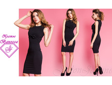 ������ ������� ������  1095