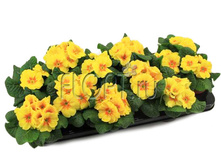 ������� ������ � ��������� 10�16. 94,5 ���.jpg