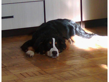 IMG 20160429 065112.jpg