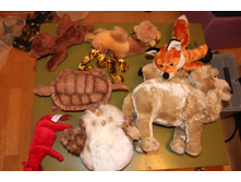 ������� 50 (���)- 300 (������� �������)