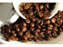 ��������� SHG Finca.jpg