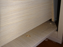 DSC04041.JPG