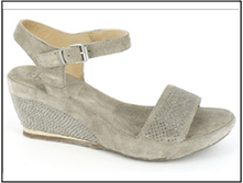 ���� 53,81 ����.