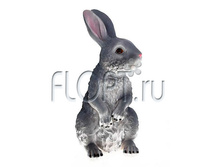 ������ ���� �������, 17x19x34��. 562,5 ���.jpg