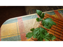 �������� �������