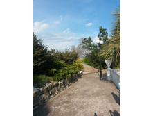 ���� "����� ��������"